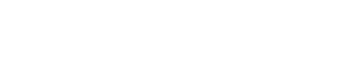 Toys for Bob logo